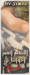 sans_t13.jpg