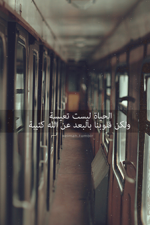 tumblr_md50ruzHtr1r40aaro1_500.gif