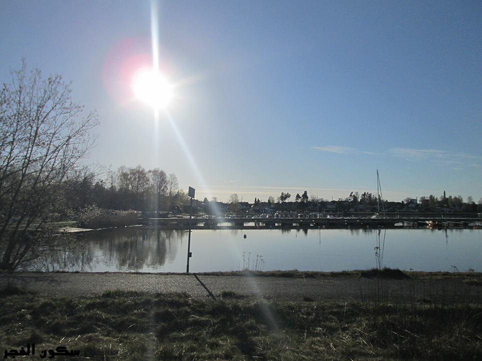 i_6305e470a710.jpg
