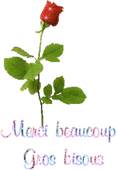 mercibeaucouprose.gif