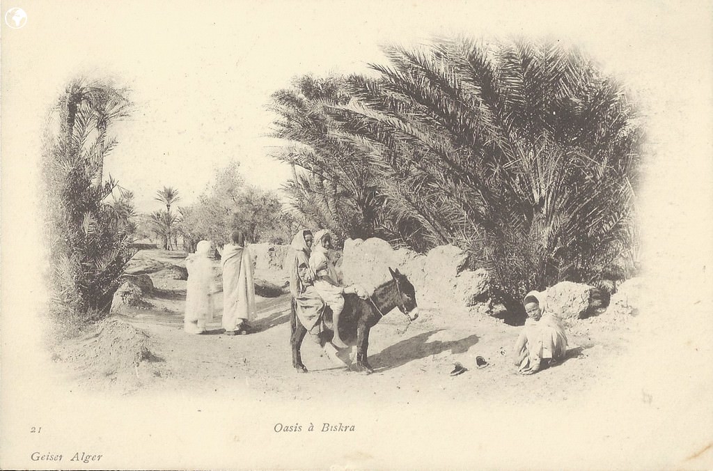 1319966873-Biskra-Oasis.jpg