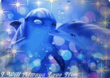 382715cl6355bplb.gif