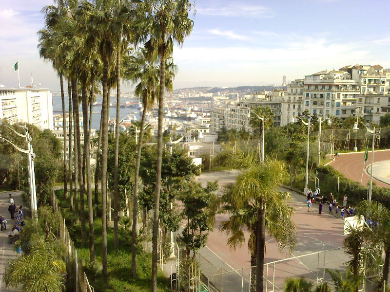 alger-s20.jpg