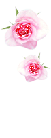 1064969ml872a6gba.gif