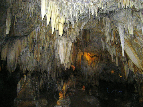 pic11.jpg