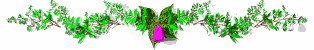 161614bdf49p705l.gif