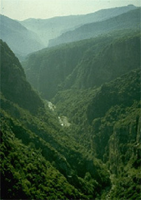 lebanon_nature18.jpg