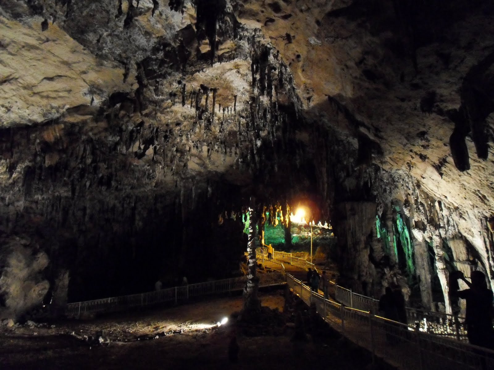 SDC11864.JPG