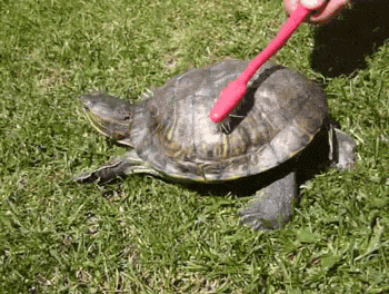 friday_gif_selection_03.gif