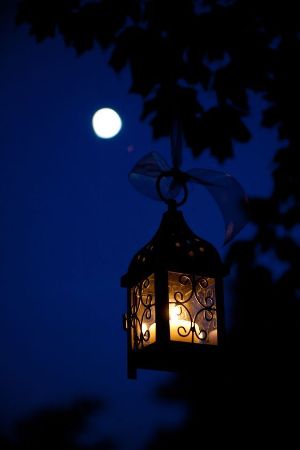 image129113.html