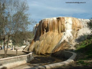 dscf0010.jpg