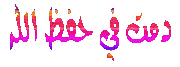 476990.gif