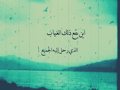 tumblr_m62t8vJDmx1qh3jn7o1_500.gif