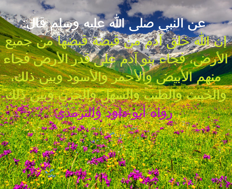 image129170.html
