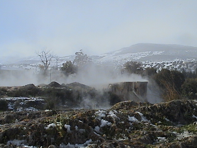 dsc00013.jpg