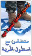 ahmed.2010531174344.png