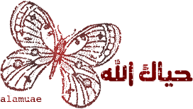 12050.imgcache