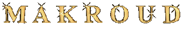 GSAn_6929e65a5a.gif