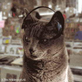 0703110649372192383422.gif