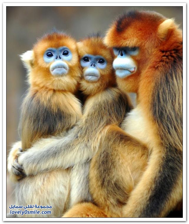 Moments-of-zoo-12.jpg