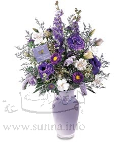 Warda_208.jpg
