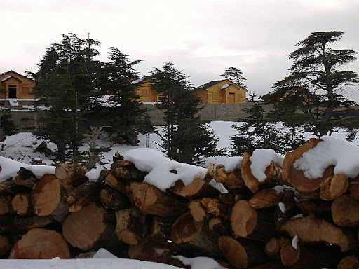 DSCF0061.JPG