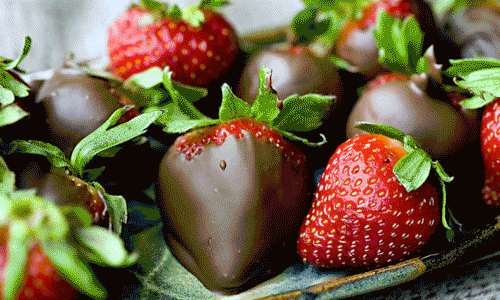 food_group_blog_side_pic.gif