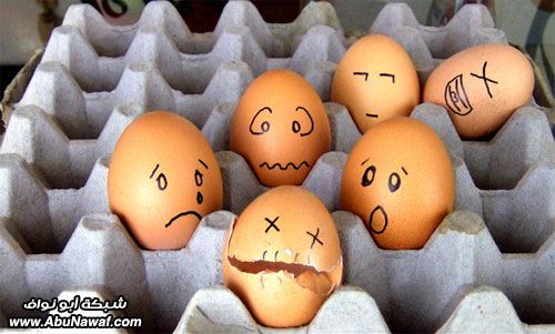 egg9.jpg