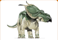 dc_card_achelousaurus.jpg