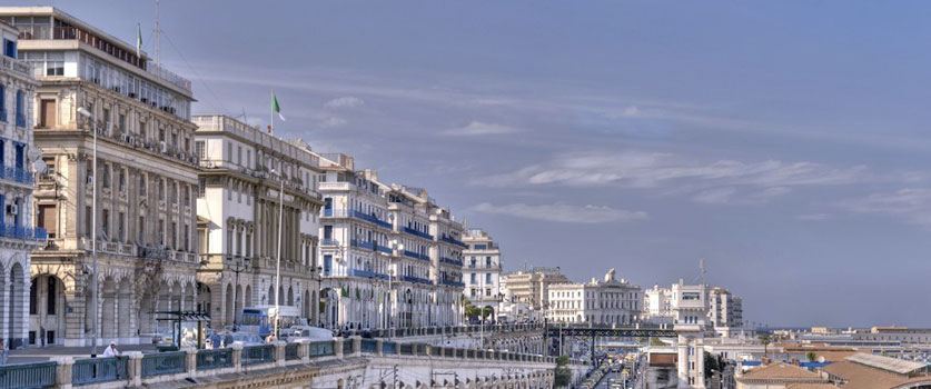 alger-sidifredj.jpg