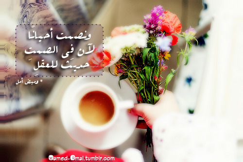tumblr_mvp2mlclPA1rx141fo1_500.jpg