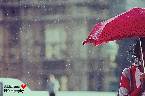tumblr_lvf03m1coK1qefpn8o1_500.jpg