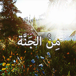 tumblr_mi4cgz3erz1r5zeqho4_250.gif