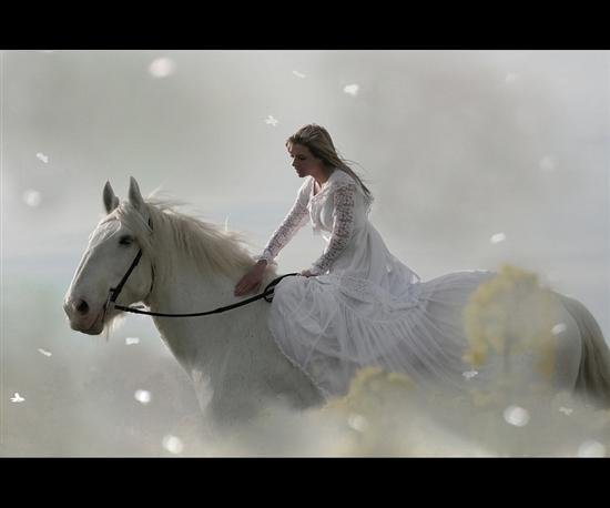 WOMANHORSE.jpg