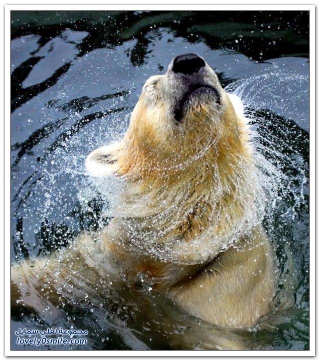 Moments-of-zoo-17.jpg