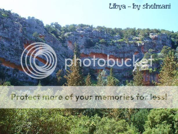 Libyanforest19.jpg