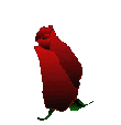 blmrdr1.gif