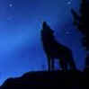 Loup_bleu.jpg