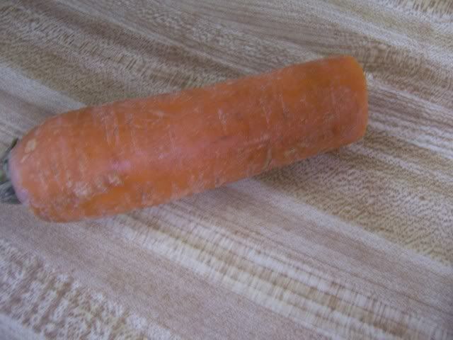 100_5292.jpg