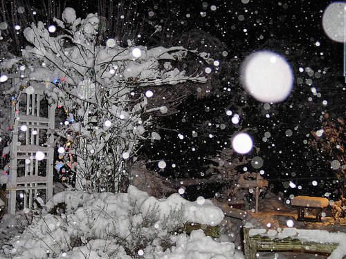 fallingsnowflakes_21129.jpg