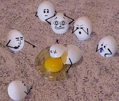 egg1_181.jpg