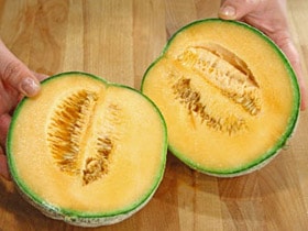 melone_pt_GZ-2.jpg