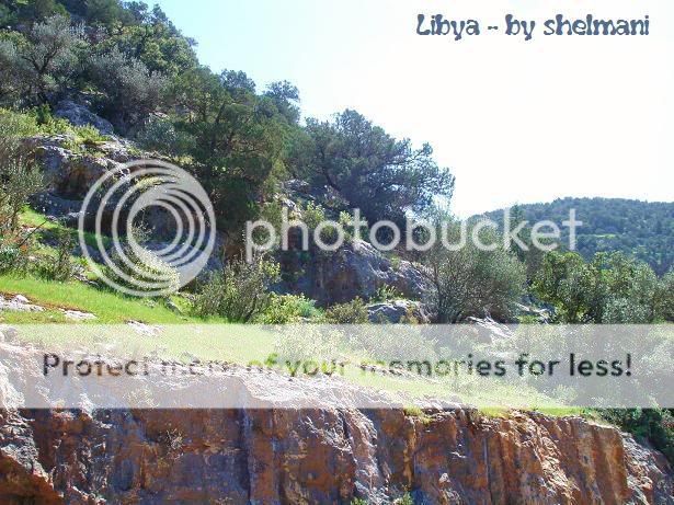 Libyanforest39.jpg