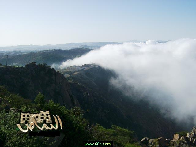 q4s3tus6oseltar6gxmpt3dh40g6l3kh.jpg