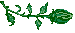 fleur38.gif