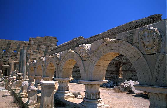 leptismagna14.jpg