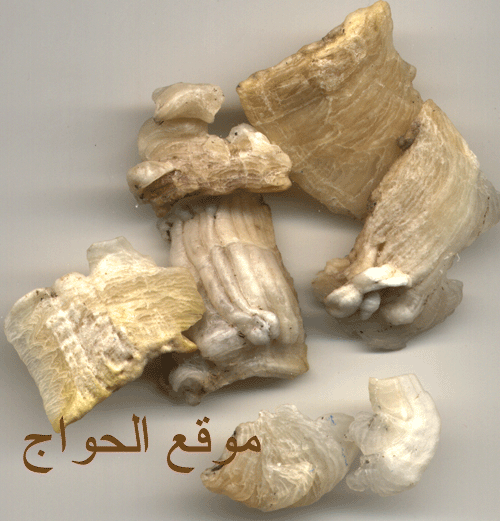 samgkothra.gif