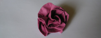 rosetissu4.jpg