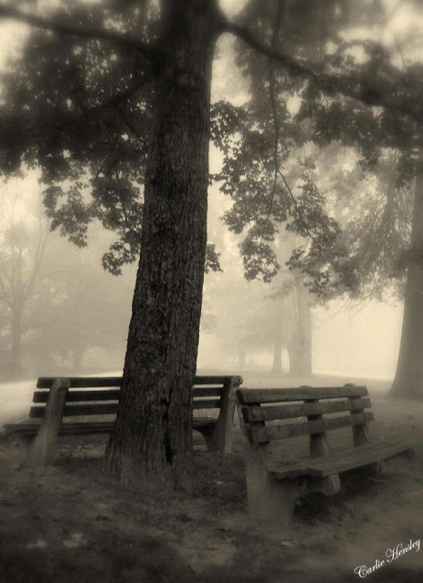 Mysterious%20Morning104.jpg