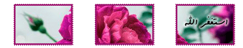 banaat-bc80992ce1.gif